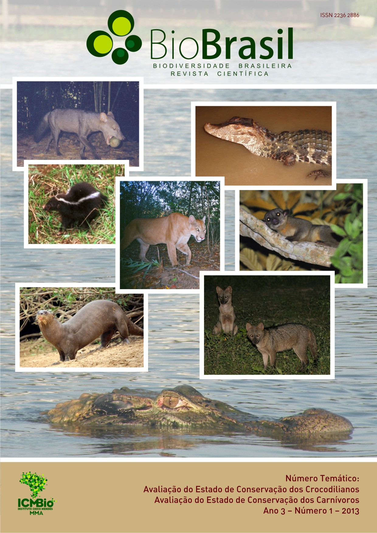 					Visualizar n. 1 (2013): Avaliação do Estado de Conservação dos Crocodilianos e dos Carnívoros
				