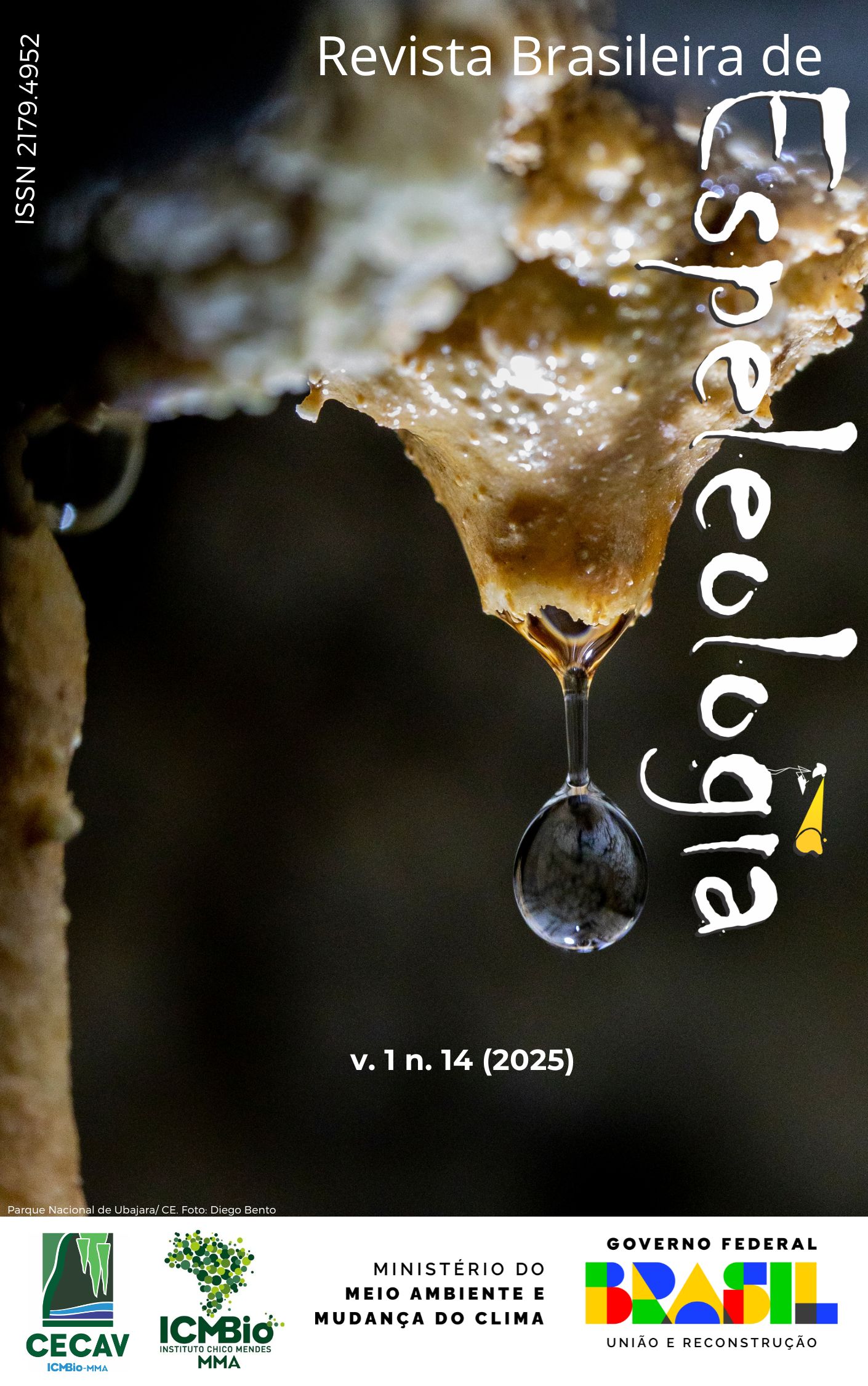 Gota d'água em Espeleotema no Parque Nacional de Ubajara. Foto de Diego Bento.